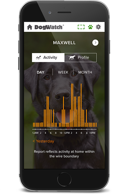 DogWatch of East Coast Florida, LLC, Sebastian, Florida | SmartFence WebApp Image