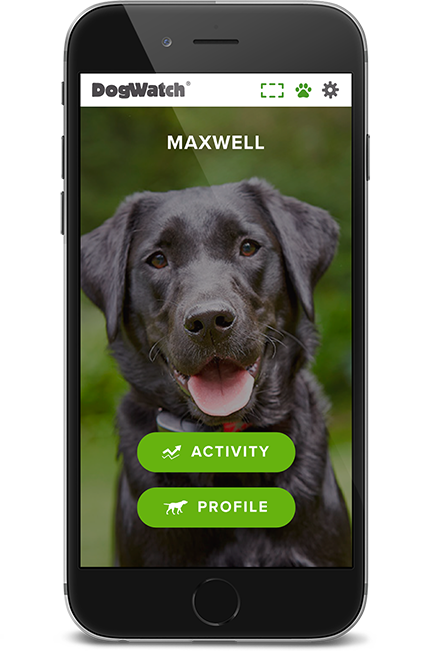 DogWatch of East Coast Florida, LLC, Sebastian, Florida | SmartFence WebApp Image